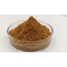 Polysaccharide 50% Siberian Organic Chaga Mushroom Extract Powder Chaga Extract